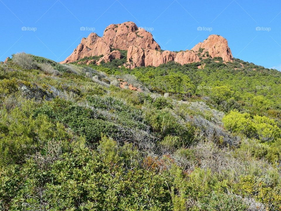 Formation behind Forest mountains