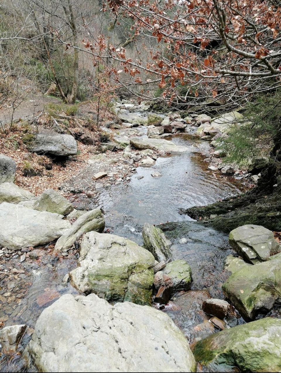 week end dans les Ardennes belge