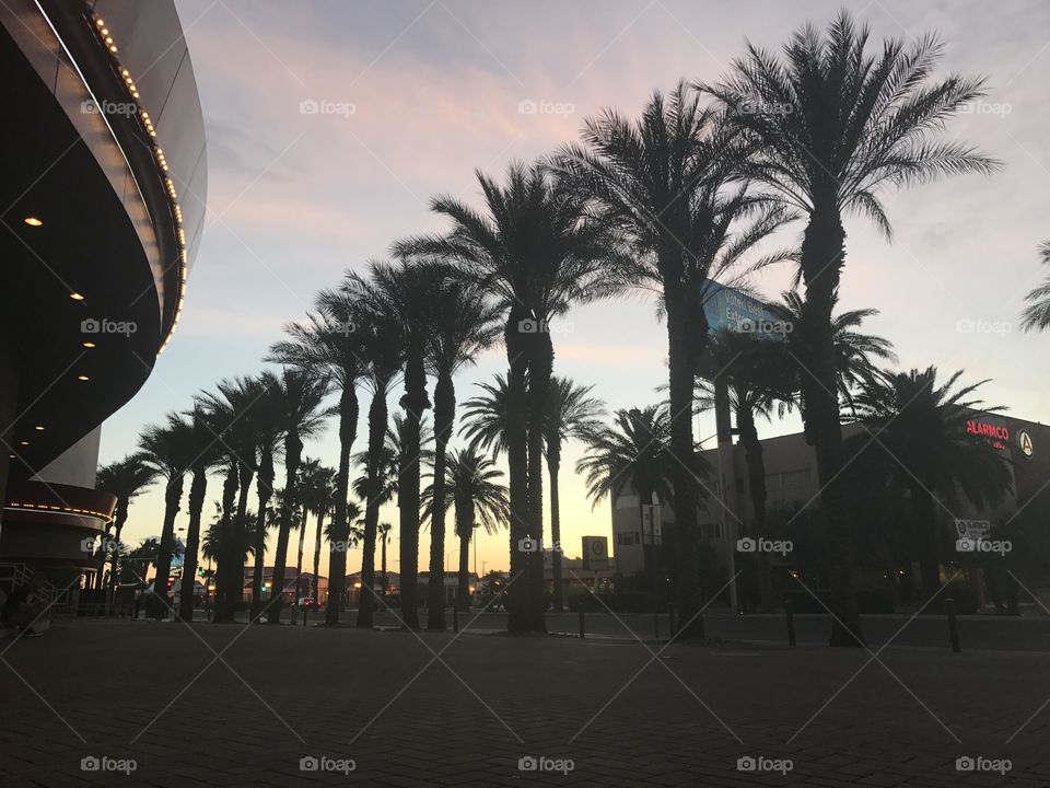 Sunny Skies of Las Vegas