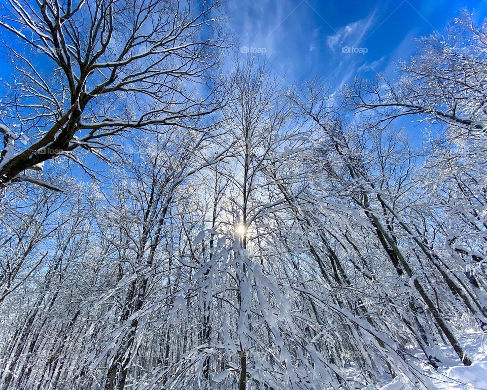 Icy Snow covered wonderland with cloud streaks pulling away from the centered sun  