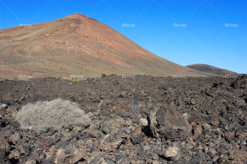 Lanzarote