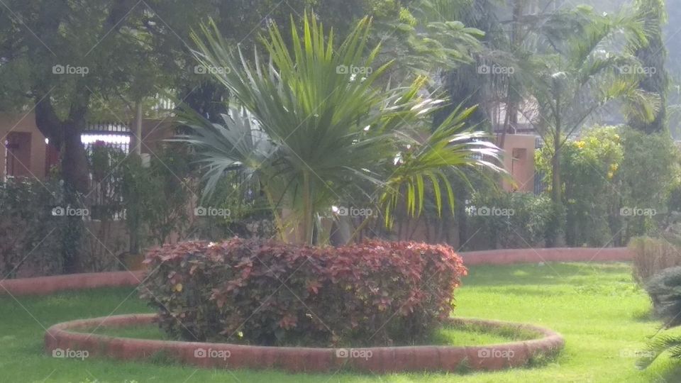 nature pictures verry nice