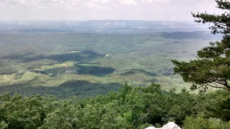 Mt. Cheaha State Park 1
