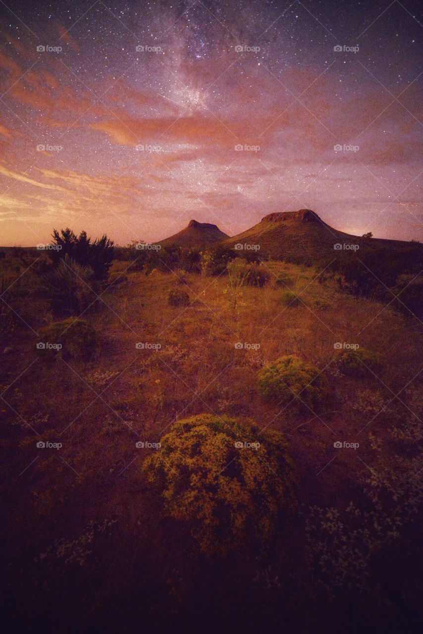 A night shot in the desert, with mountains, flowers and clouds
