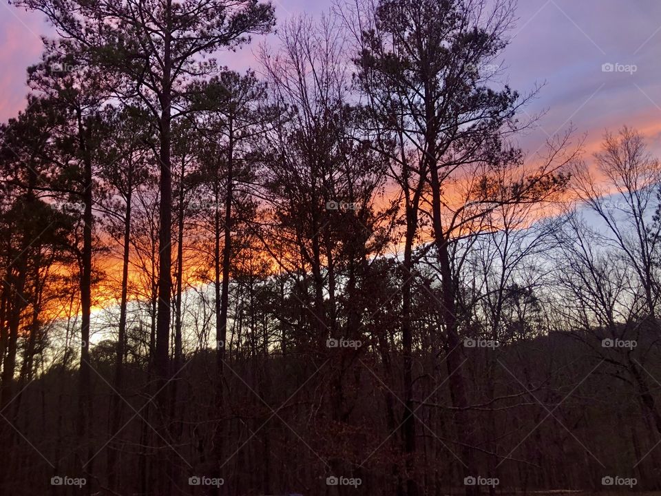 Northwestern sky at sunset in forest with hillside