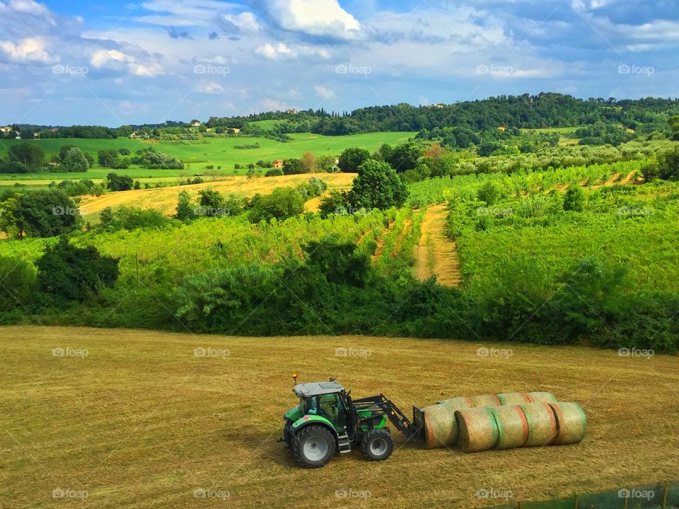 Tractor make order. Tractor put the bales in line after it work
