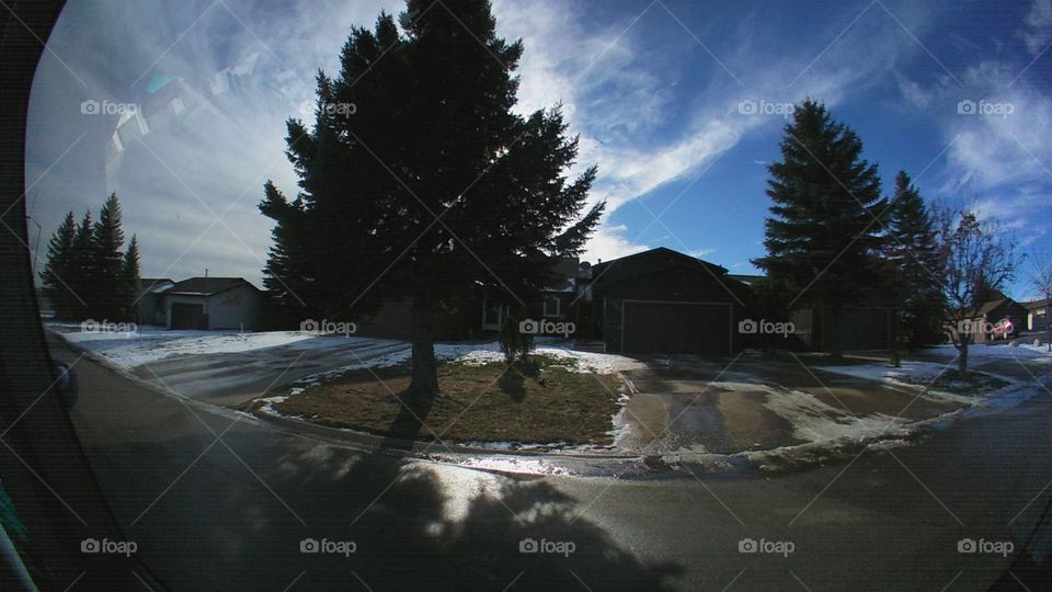 Snow, Tree, Water, No Person, Winter