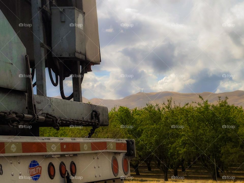 Driving down highway 5 towards Los Angeles next to a semi truck passing the rolling hills and fruit orchards 