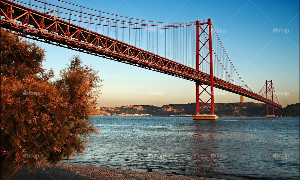 Scenic view bridge on sea