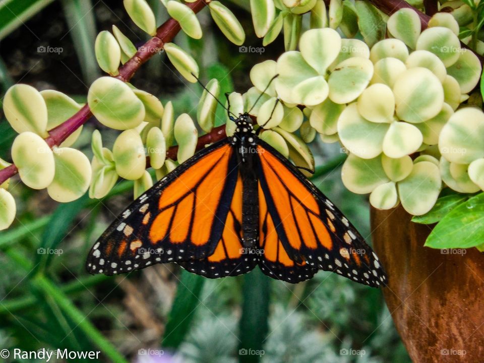 Rodger Williams Park Zoo
Providence RI