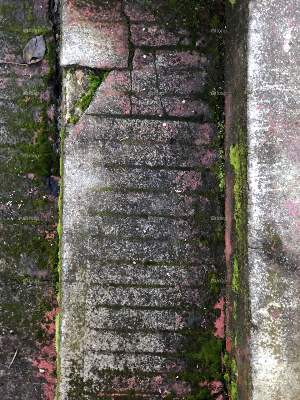 Steps from an aerial view can be rather intriguing. These particular ones have moss, old paint, and other patterning to help the appeal. 