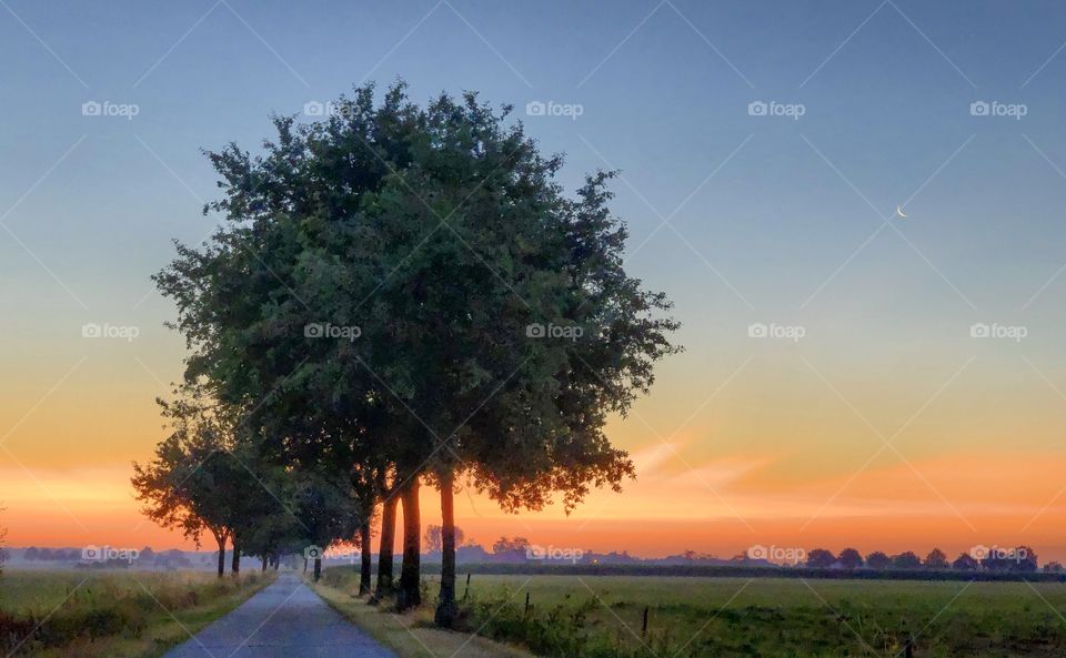 Tree lined Countryside Road between the farming fields under a dramatic and colorful fiery sky