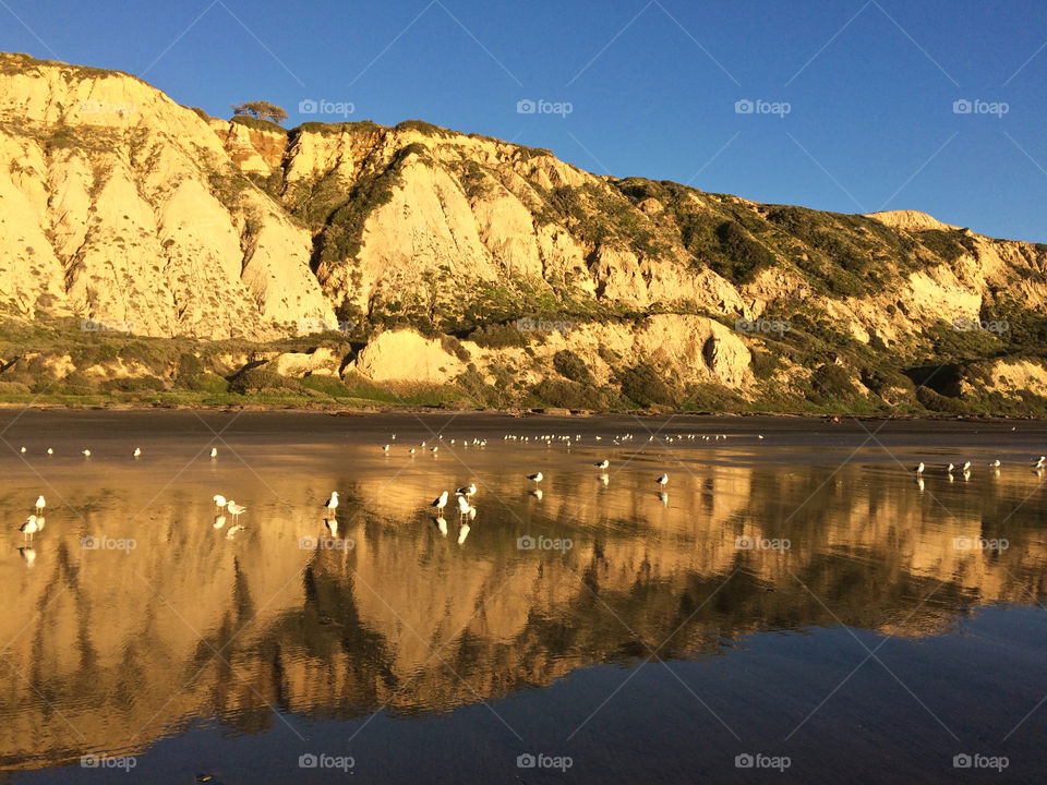 Incredible reflections 