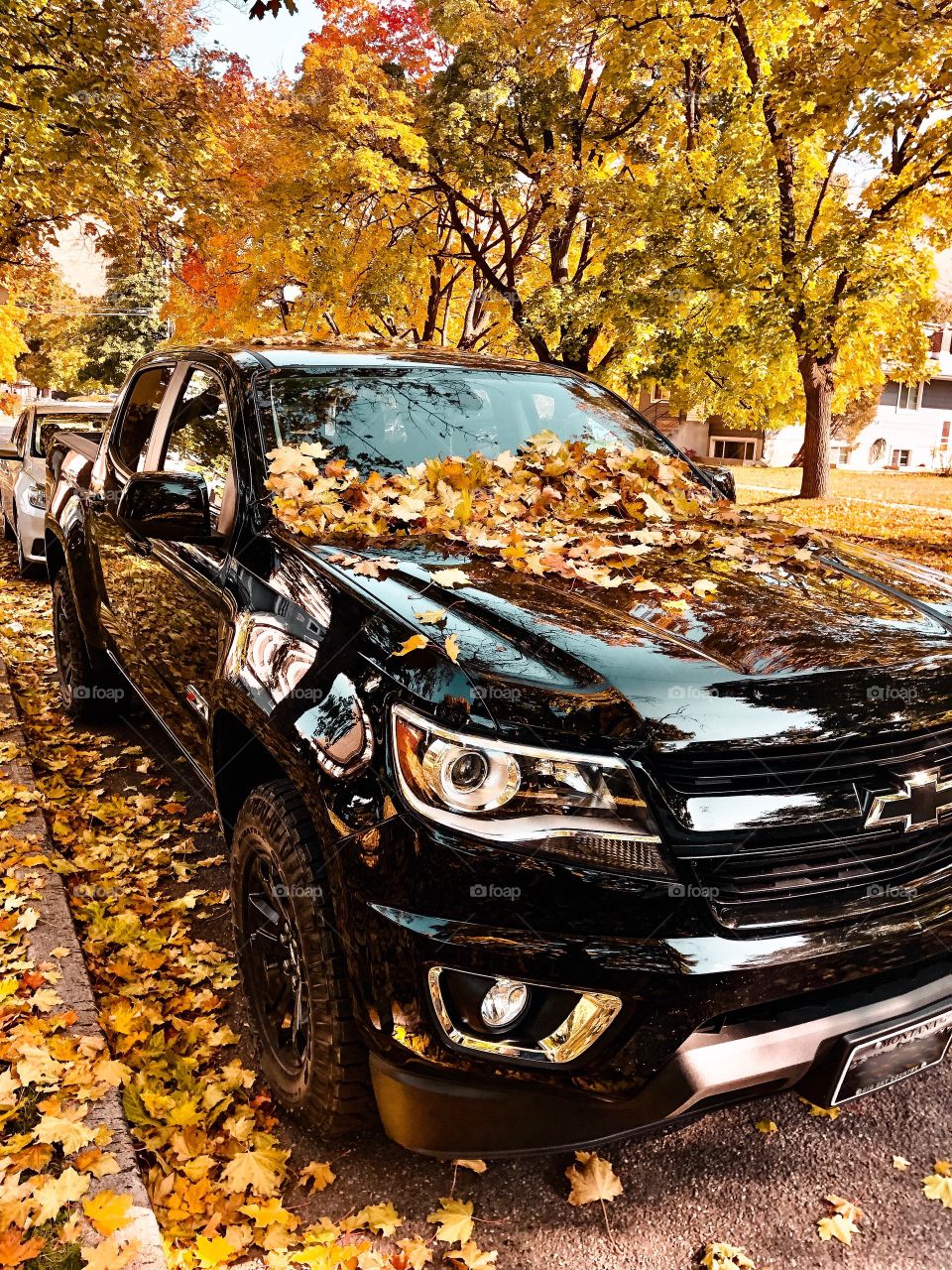 All blacked out midnight edition Chevy Colorado covered in fall leaves. 