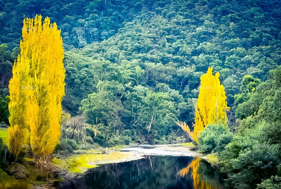 Away from city lights... This is my happy place.