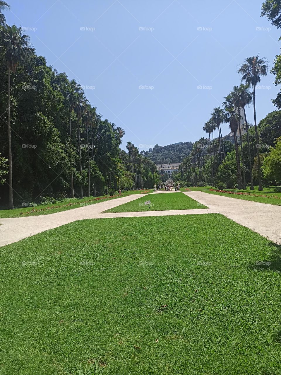 beautiful and organized Garden