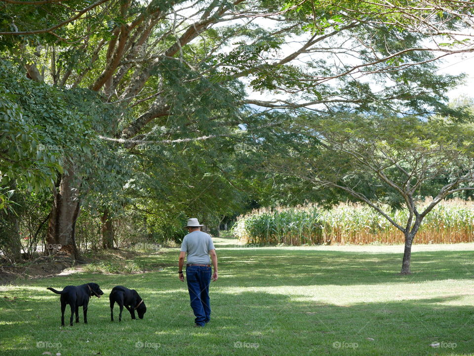 Frank and his labradors retriever