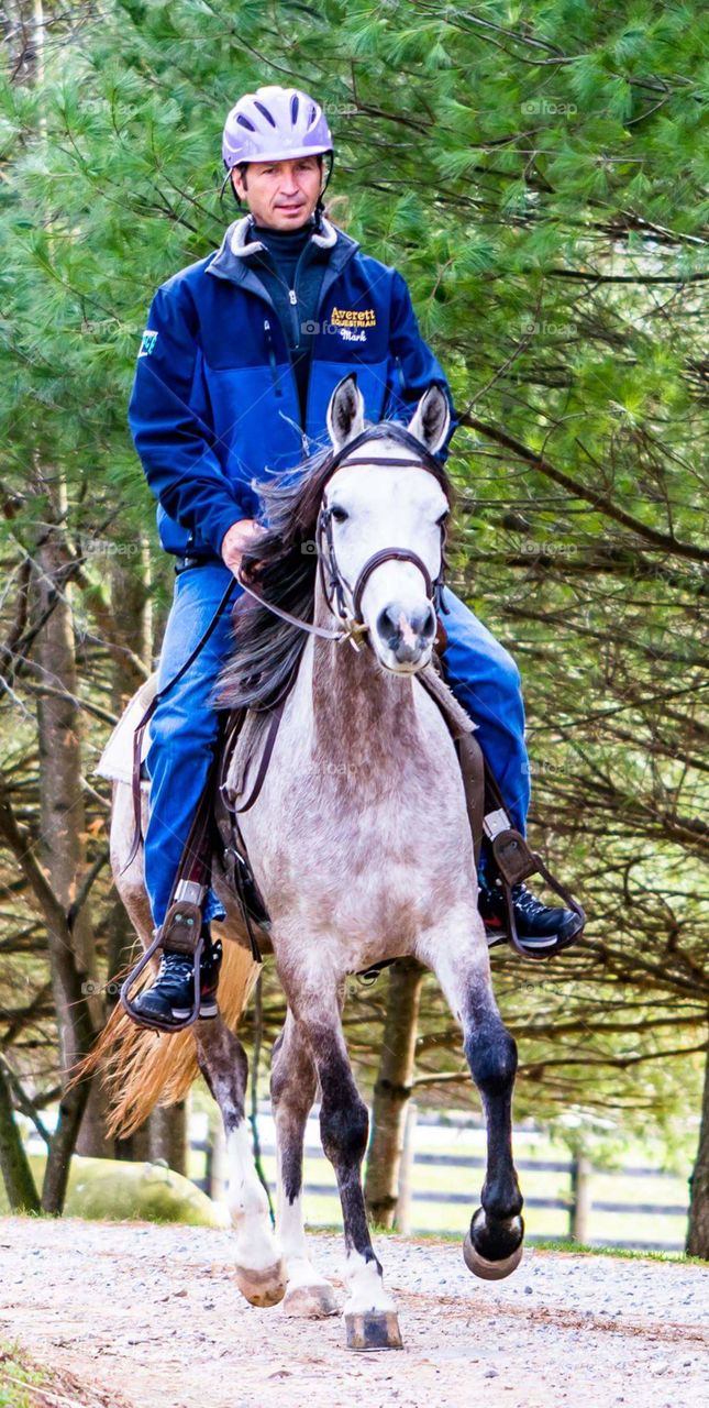 Arabian Horse Riding