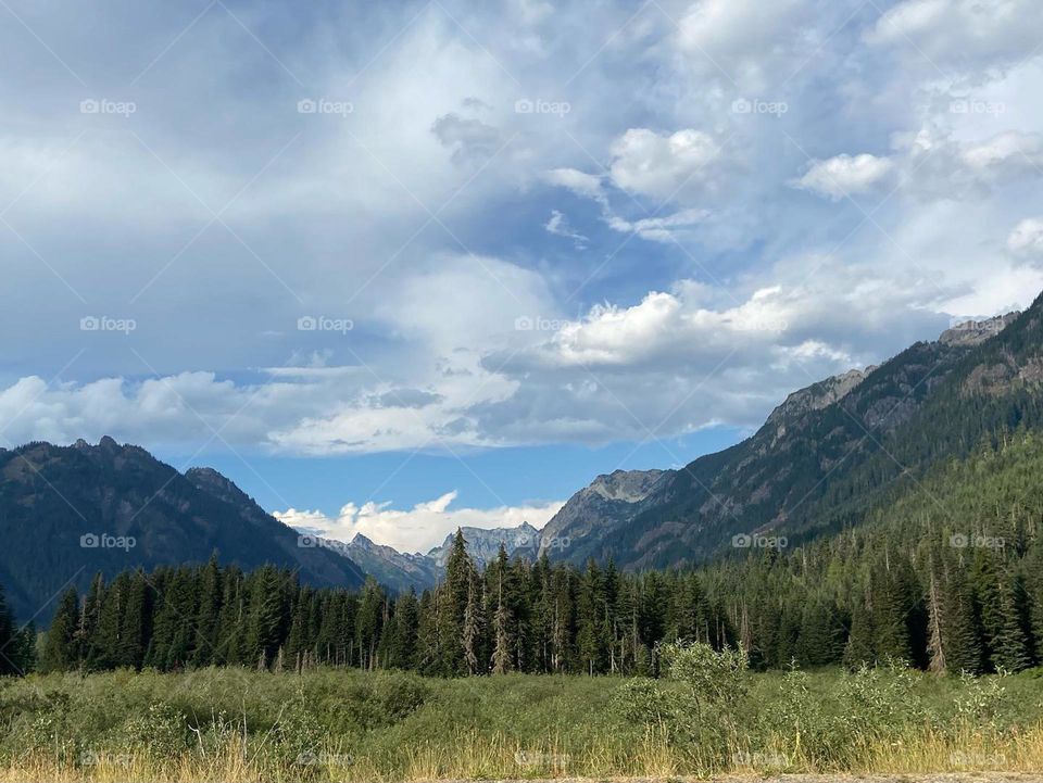 Field with a Mountain View