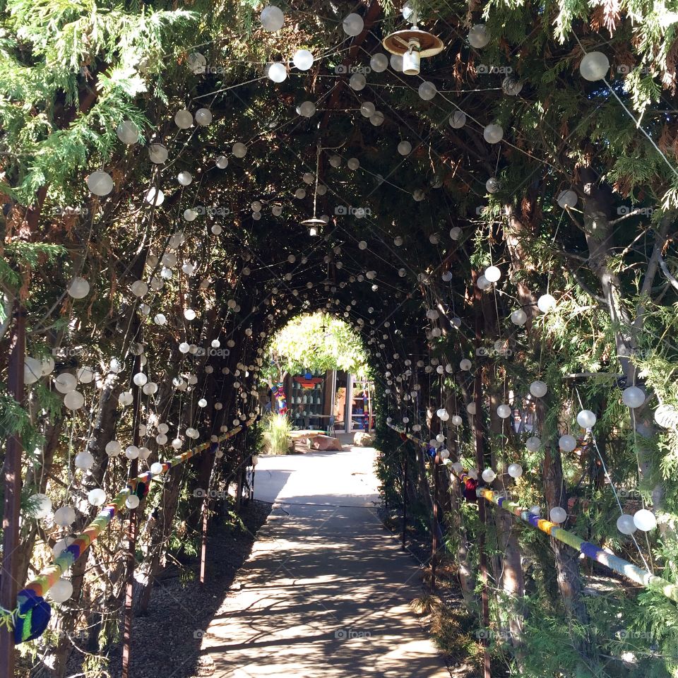 Tunnel of plants