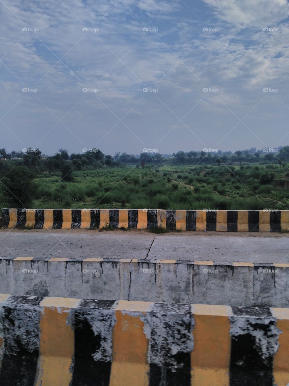 I saw nature beyond the bridge when I was going my work place .