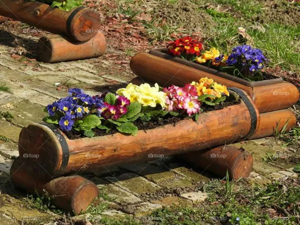 flowers