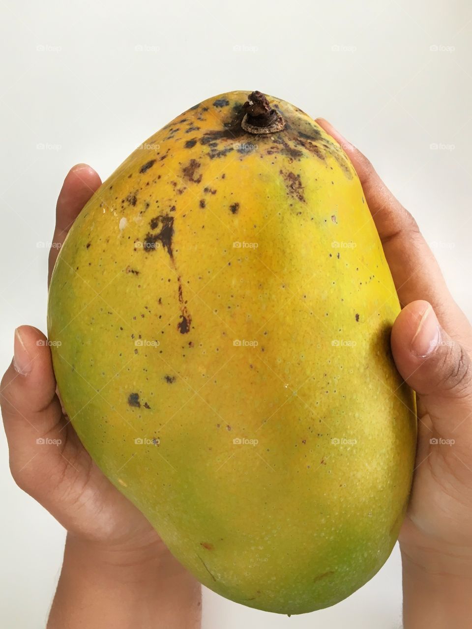 A huge manggo