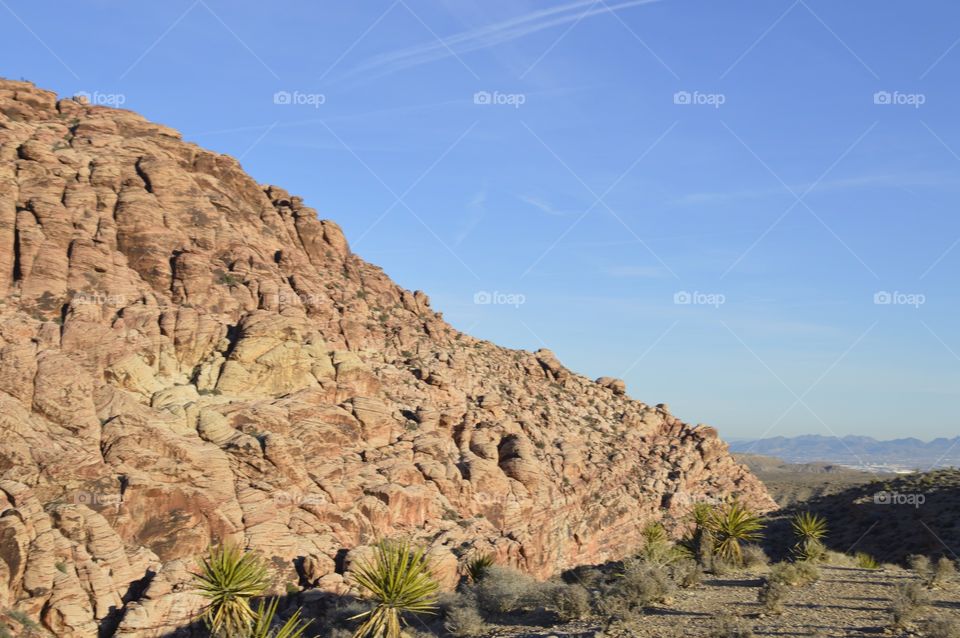 Red Rock Canyon 