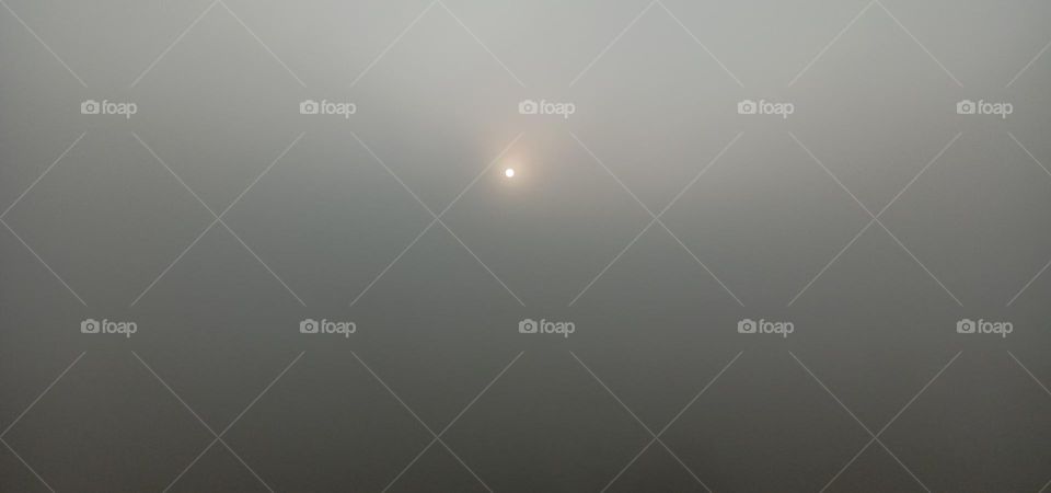 foggy Mornings ☀️❤️✨