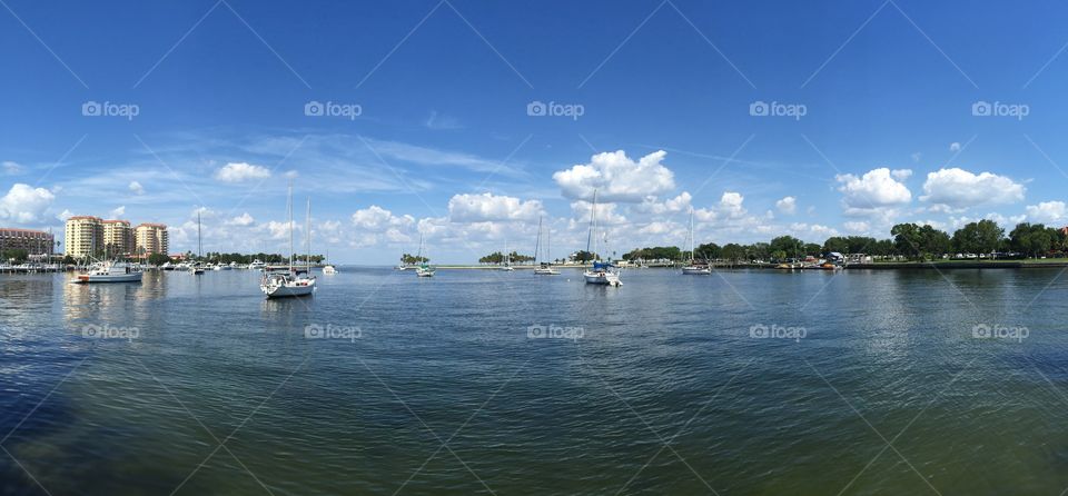 Body of water in Tampa with boats and beautiful view