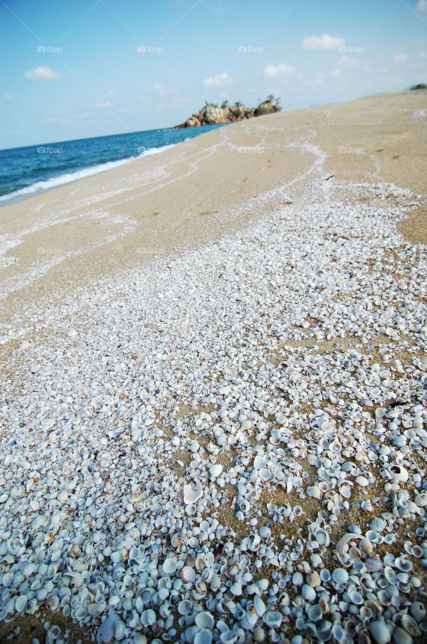 shell beach