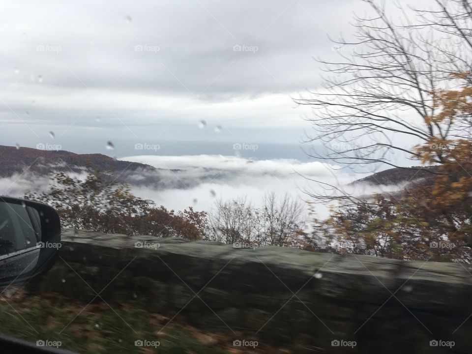 Shenandoah fog