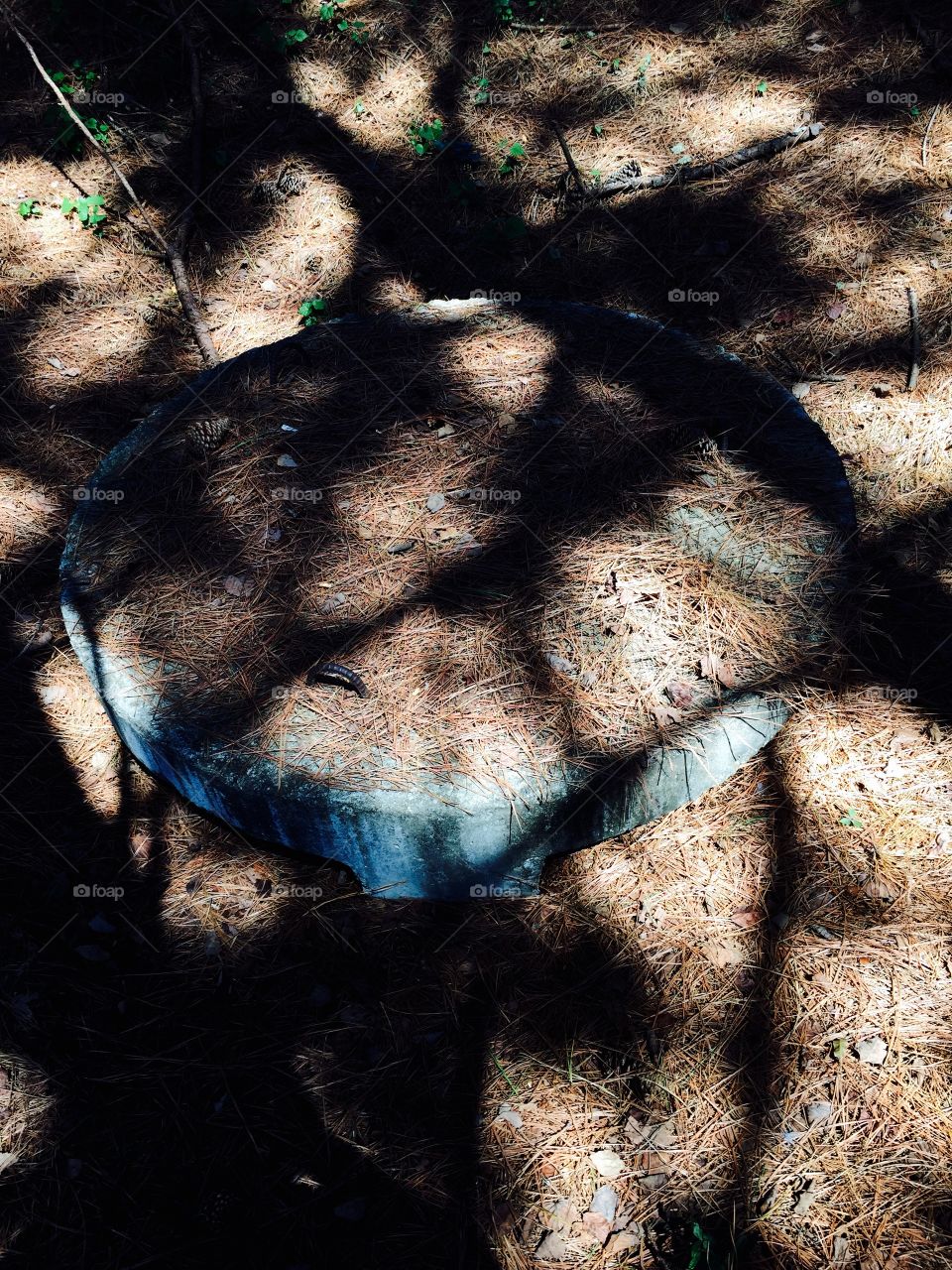 Shadow and pit . Pit, shadow and dry leaves and dry sticks 