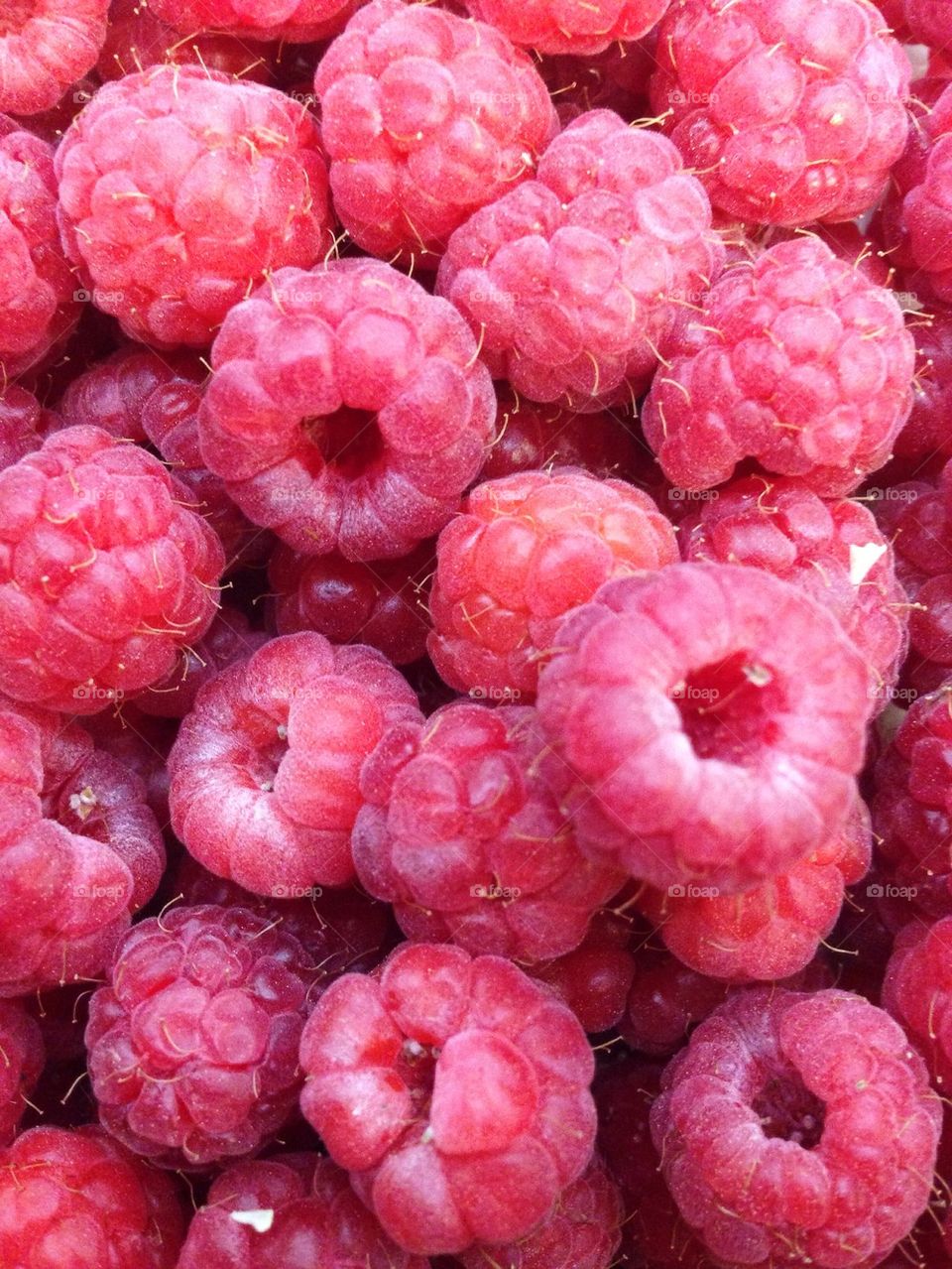 Close-up of raspberries