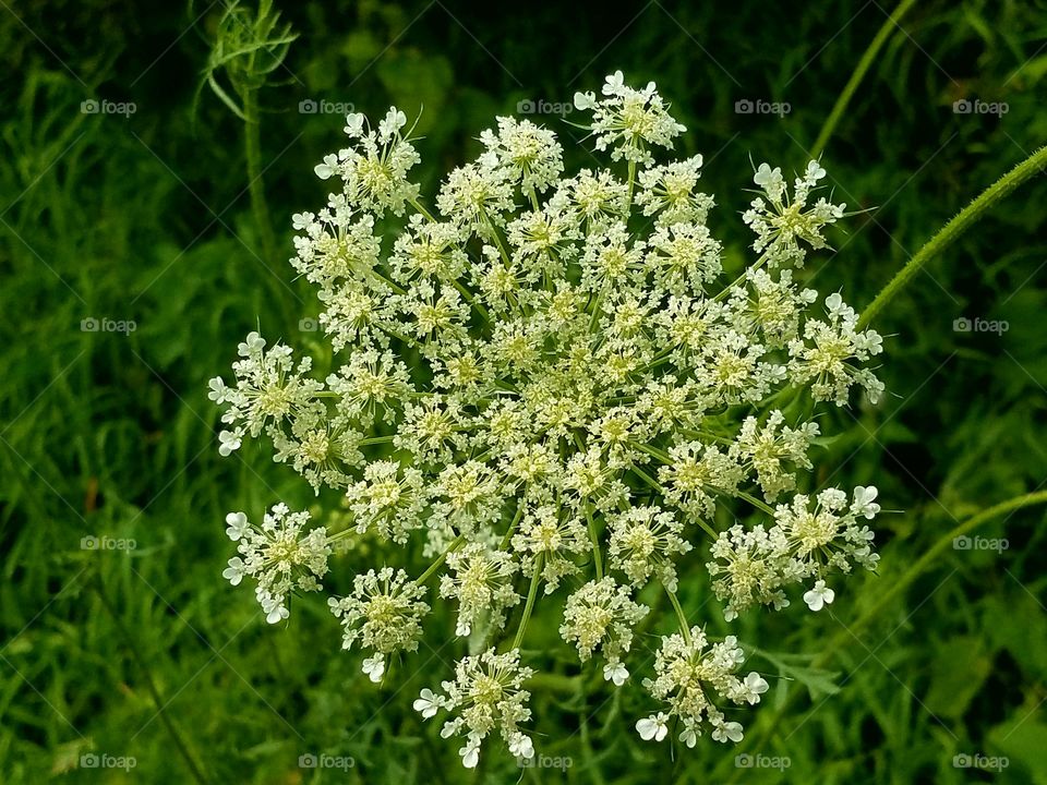 Driving the Back Roads and enjoying everything around us