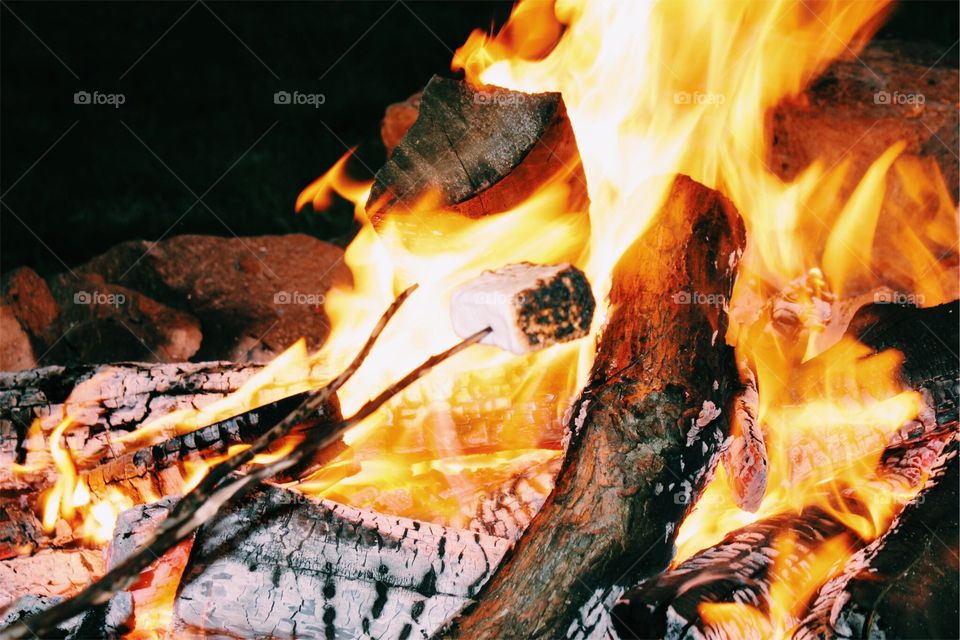 Campfire