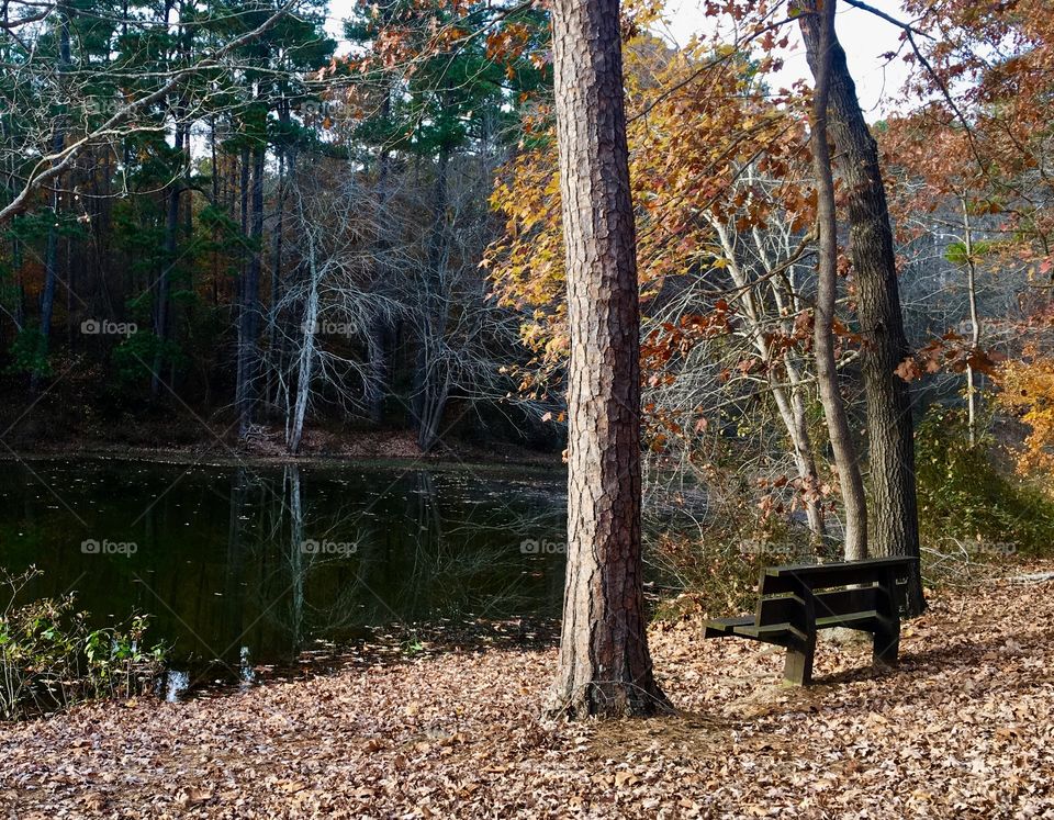 Leisure at Lake Wheeler