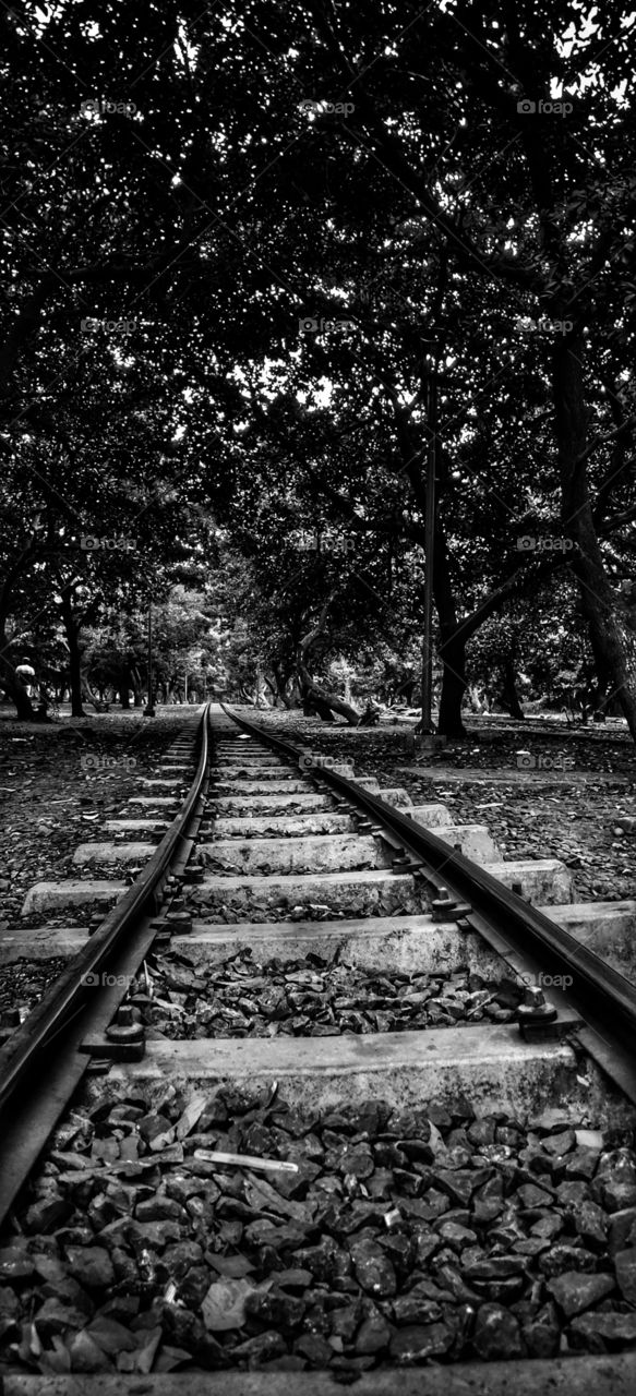 sneh botanical garden, surat