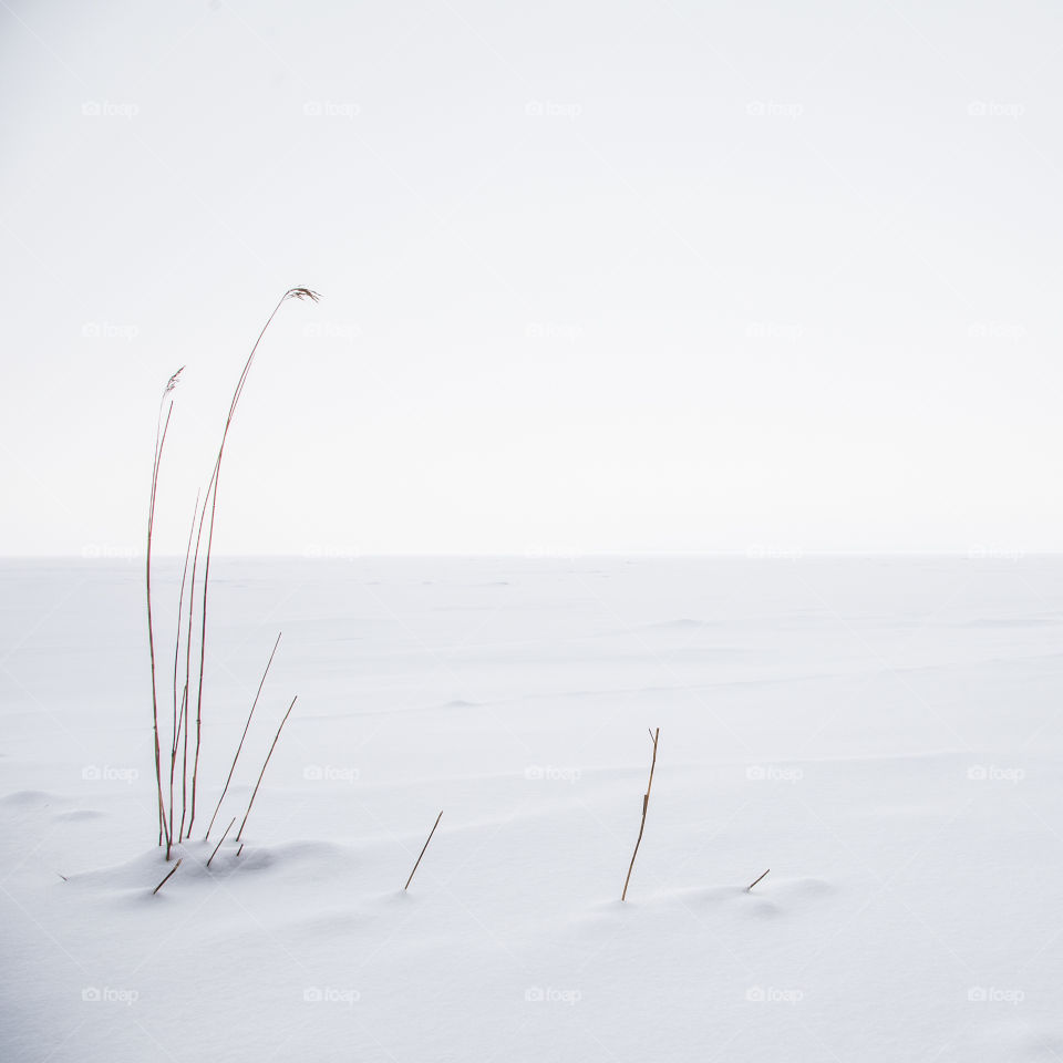 Winter, Landscape, Snow, Nature, Beach