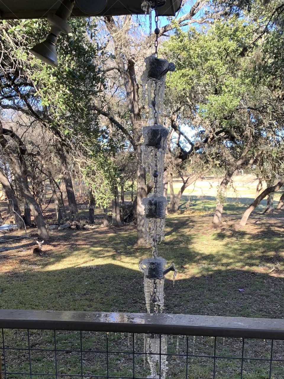 The rain chain, hanging from the gutter, was literally frozen from the freezing rain/ice storm that moved through in Texas!