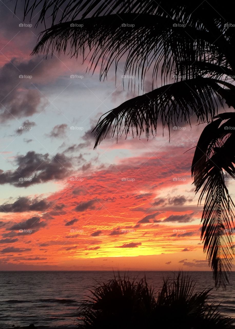 There are mornings like these that I am indeed grateful for the gift of vision, as I watch the skies put on an amazing show.