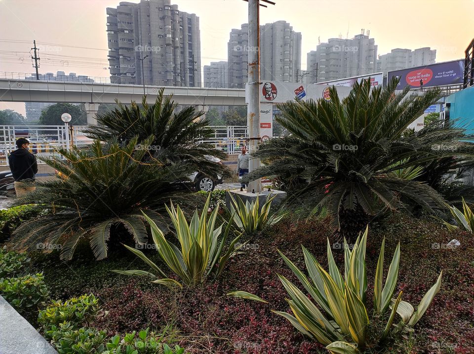 View of a garden with the background of building and metro line