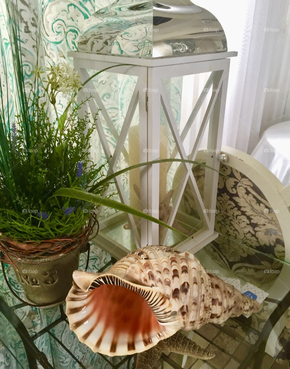 Decoration with shell, grass and candle 