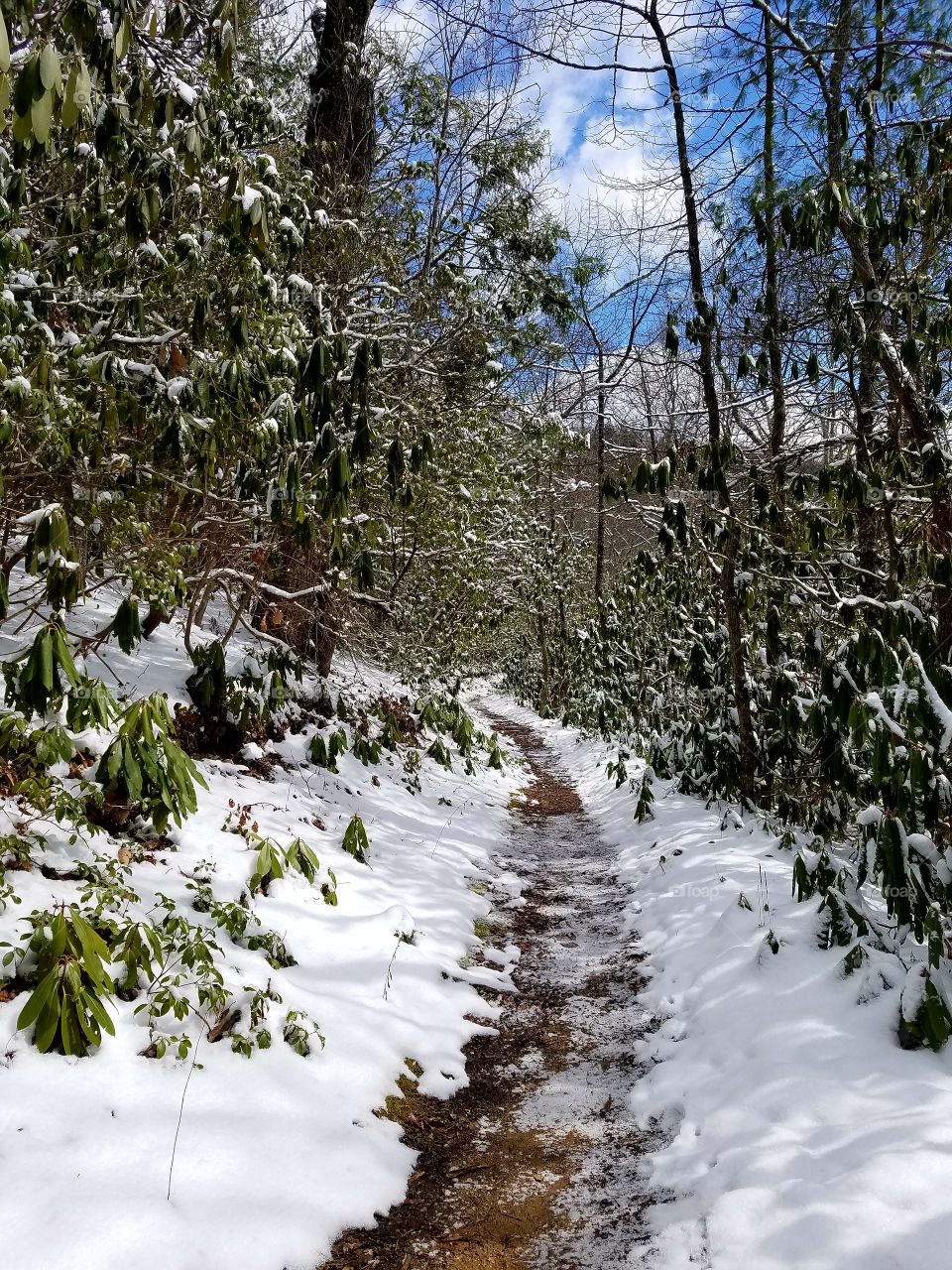 Mountain path