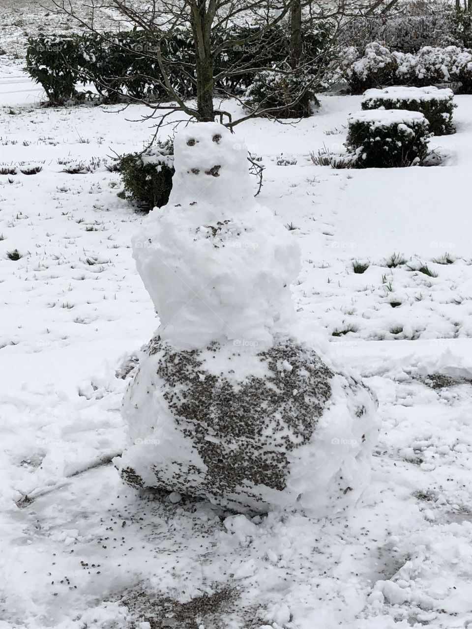 Snowman