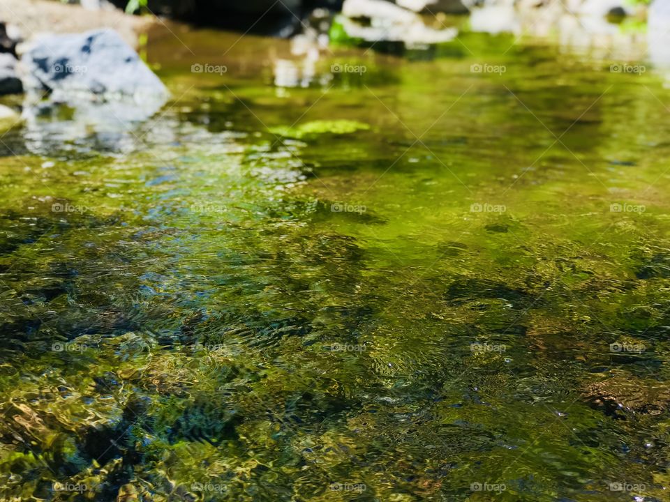 Clear water stream 