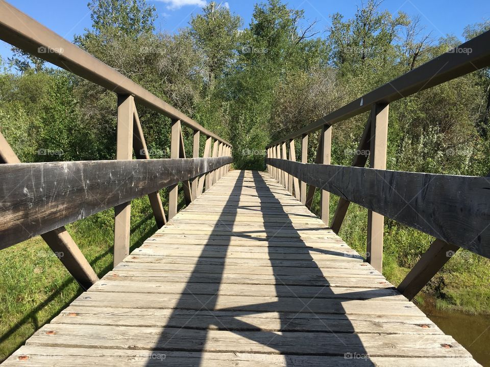 Bridge, Wood, Nature, Guidance, Park