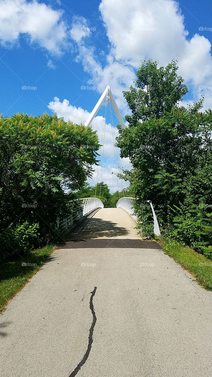 Bridge on the trail