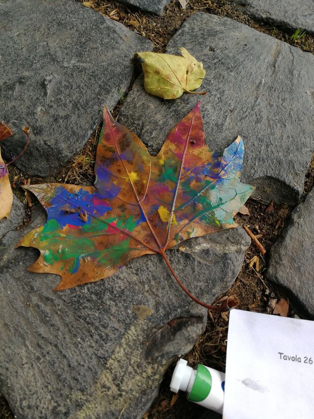 Leaf colour