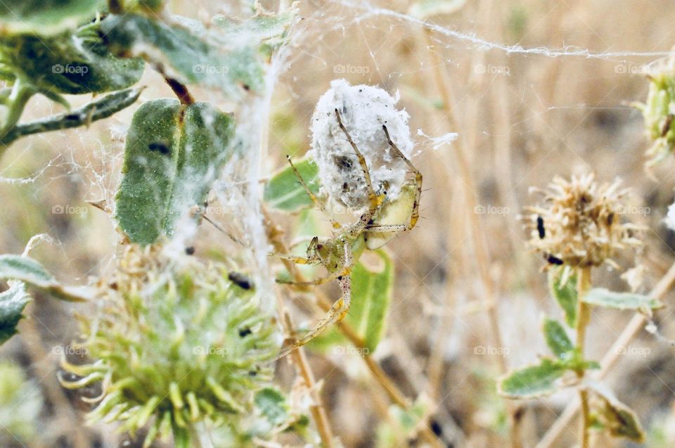 I’m keeping them safe 